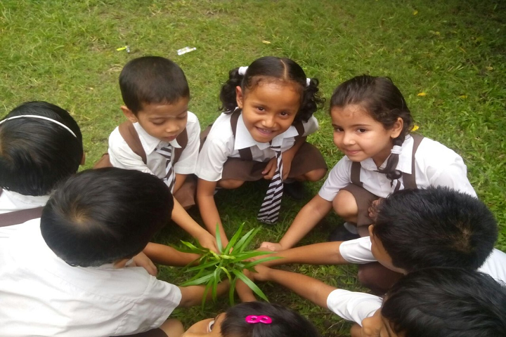 Tejpur Gurukul Chatai Chapori- Environment Day