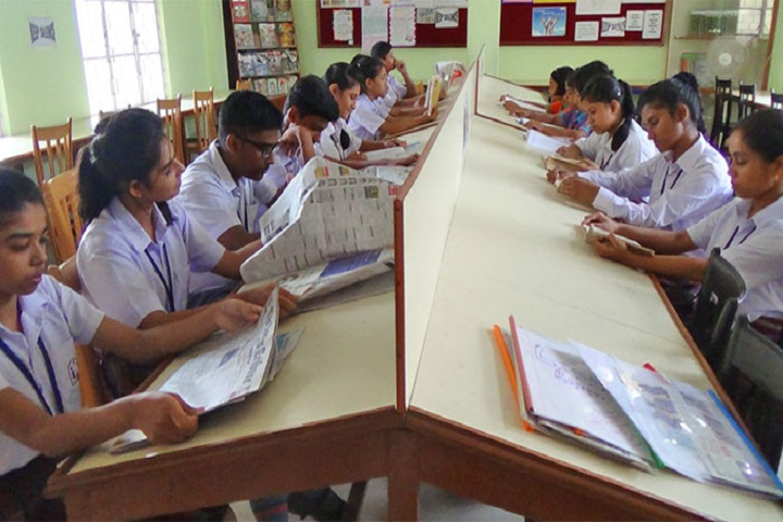 The Little Stars Senior Secondary School- Library