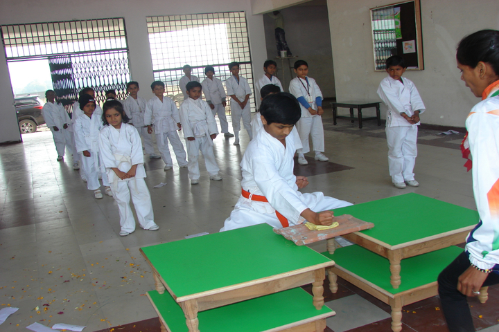 Academic Heights Public School-Karate Activity