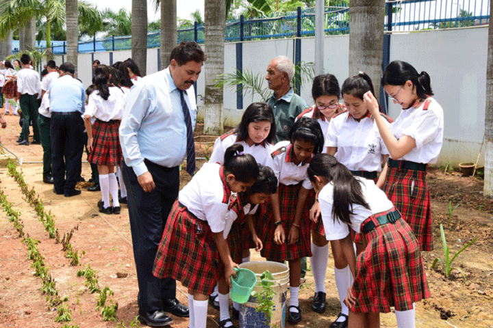 Miles Bronson Residential School- Environment Day