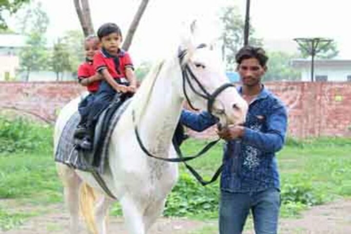 Aim Win Academy-Horse Riding