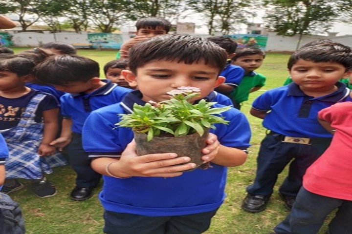 Aim Win Academy-Tree Plantation