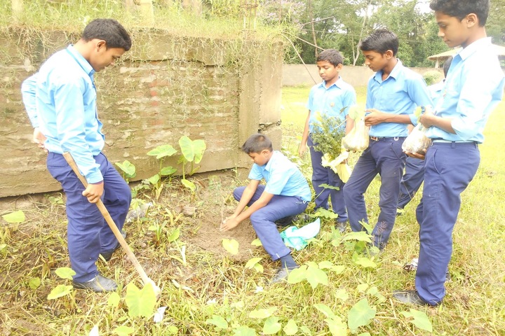 Vivekanand Kendra Vidyalaya- Plantation