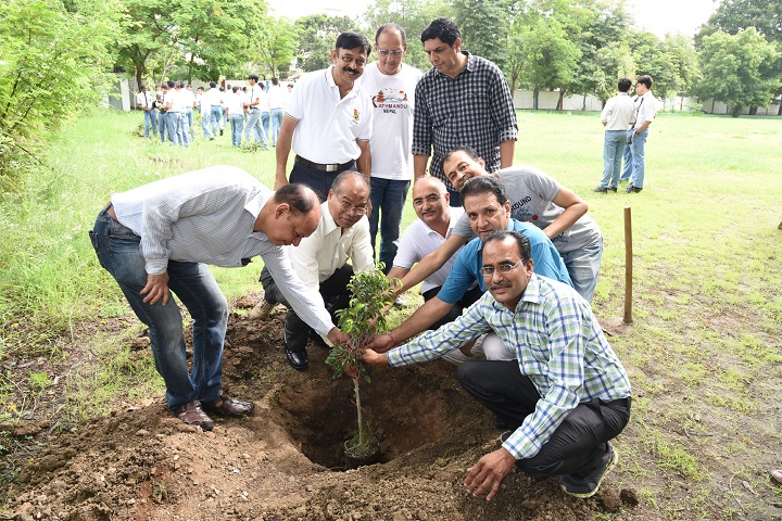 Campion School-Plantations
