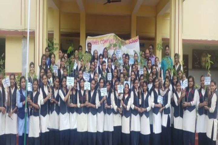 Carmel Convent Higher Secondary School-Environment Day