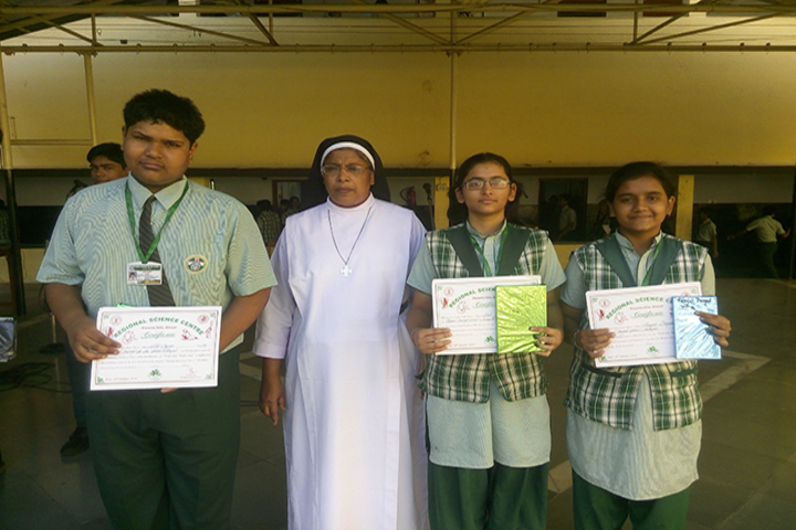 Carmel Convent Senior Secondary School-Activity