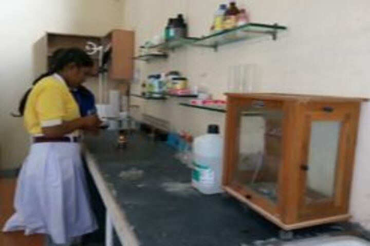 Central Academy English Medium School-Chemistry Laboratory