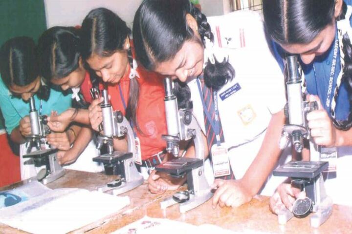 Central Academy English Medium School-Physics Laboratory