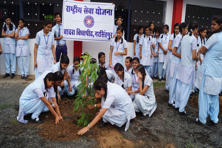 Chavra Vidyapeeth-Activity