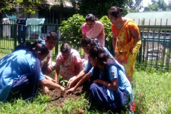 Vivekananda Kendra Vidyalaya Nec-Environment Day