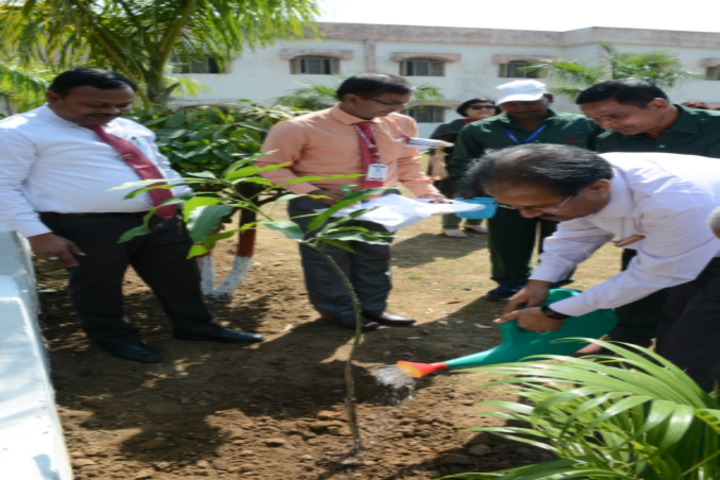 DAV PUBLIC SCHOOL, DUDHICHUA - PLANTATION