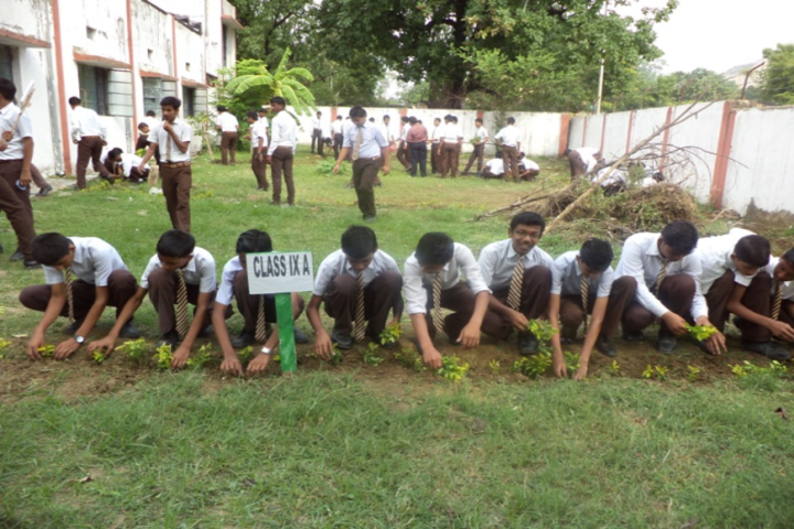 D A V Public School, Nigahi - plantation
