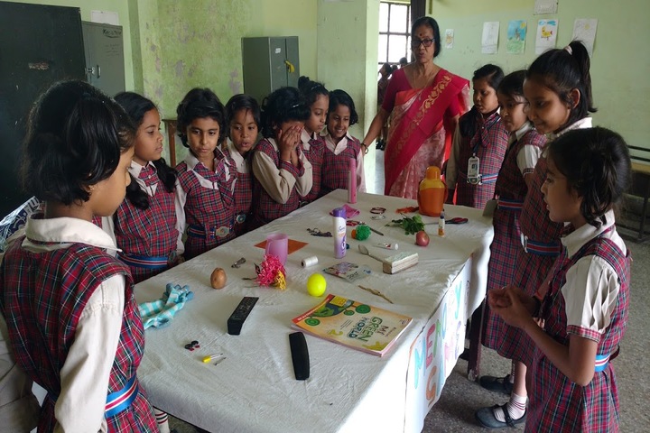 Dav Burhar Public School - Activity