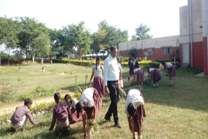 DAV Public School-Activities