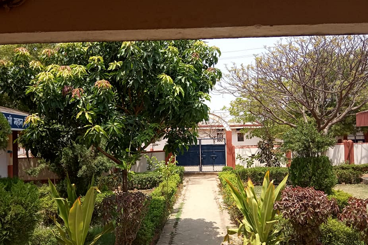 DAV Public School-Entrance