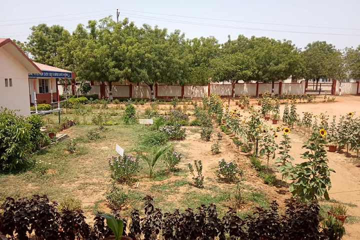 DAV Public School-Garden