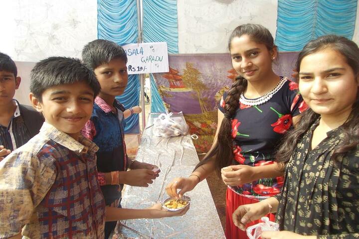 Delhi Public School-Activity