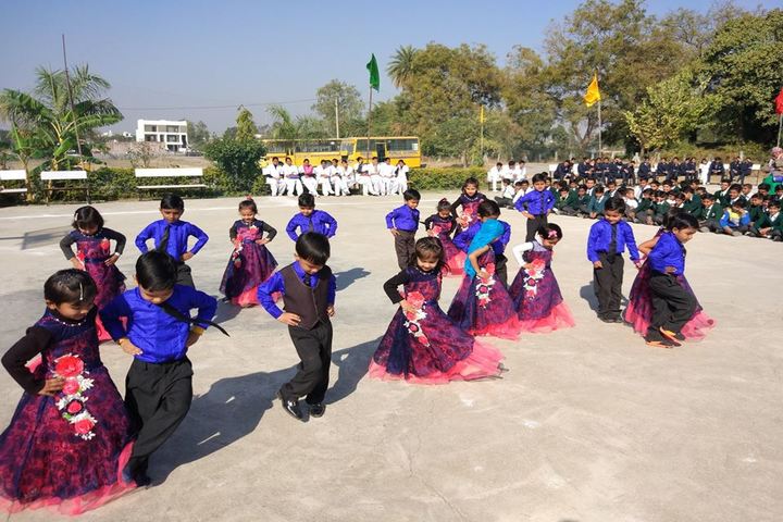 Delhi Public School-Cultural Event