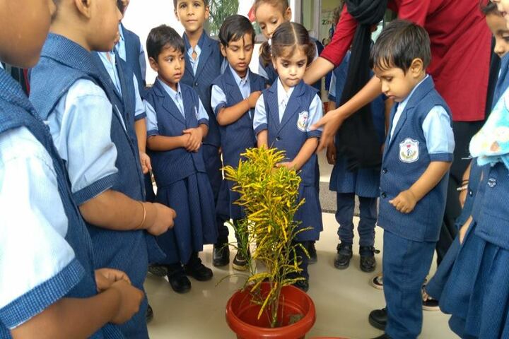 Delhi Public School-Environment Day