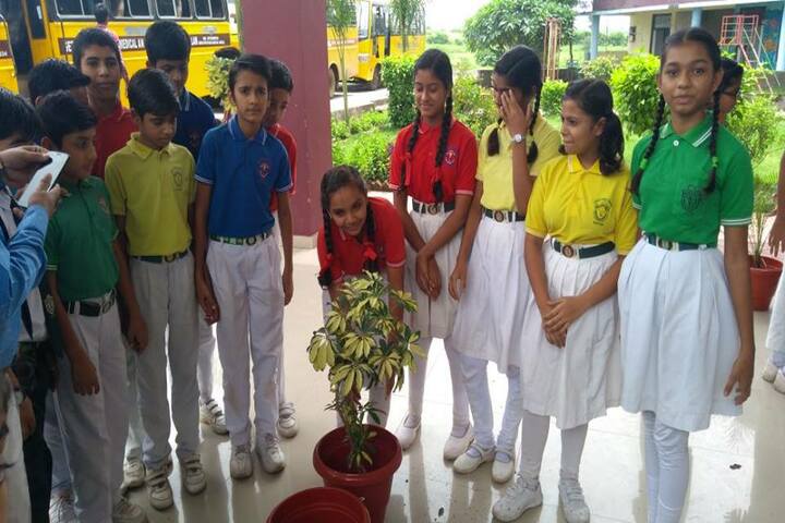 Delhi Public School-Plantation