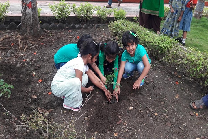 Delhi Public School-Plantation