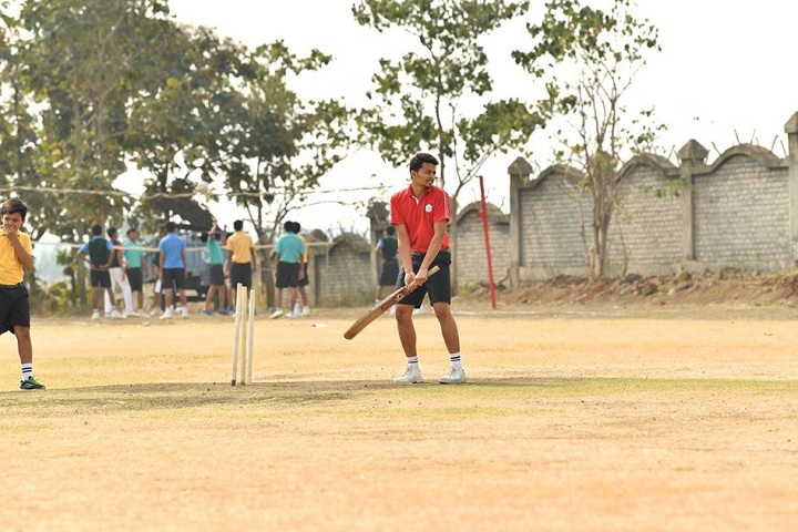 Delhi Public School-Sports Cricket