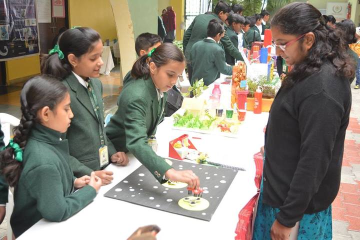 Delhi Public School-Exhibition