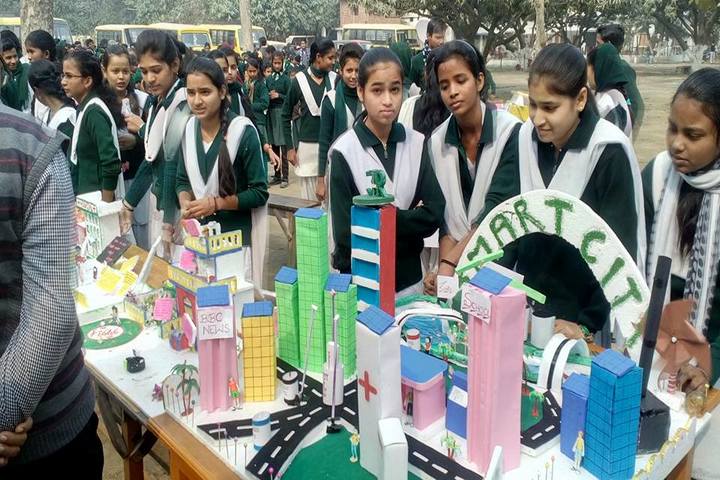 Acharya Narendra Deo Public School-Science exibition1