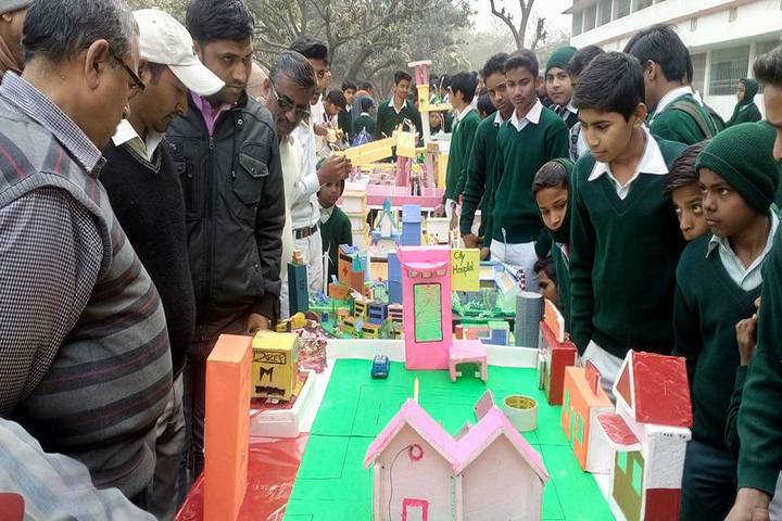 Acharya Narendra Deo Public School-Exibition