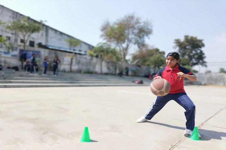 Excellent Circle Of Studies-Sports vollyball