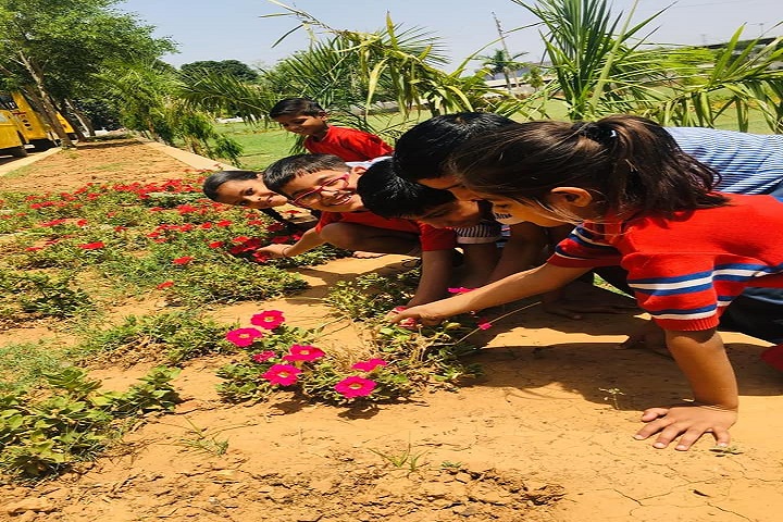 GD Goenka Public School-Others