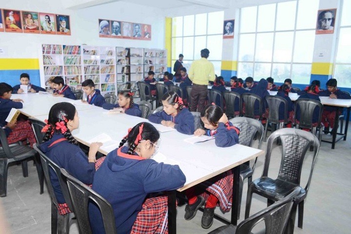 Genius Planet School-Library