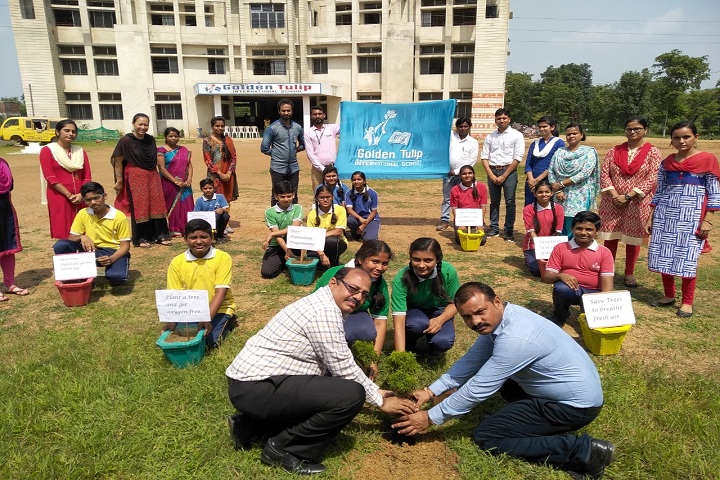 Golden Tulip International School-Tree Plantation