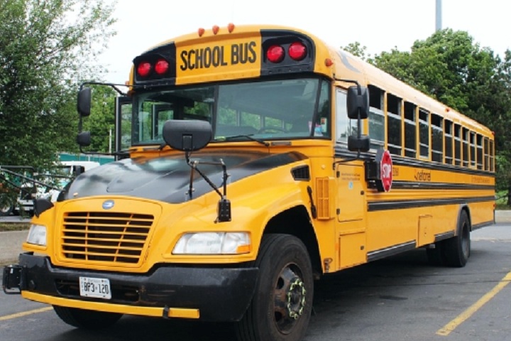 Golden Tulip International School-Transport