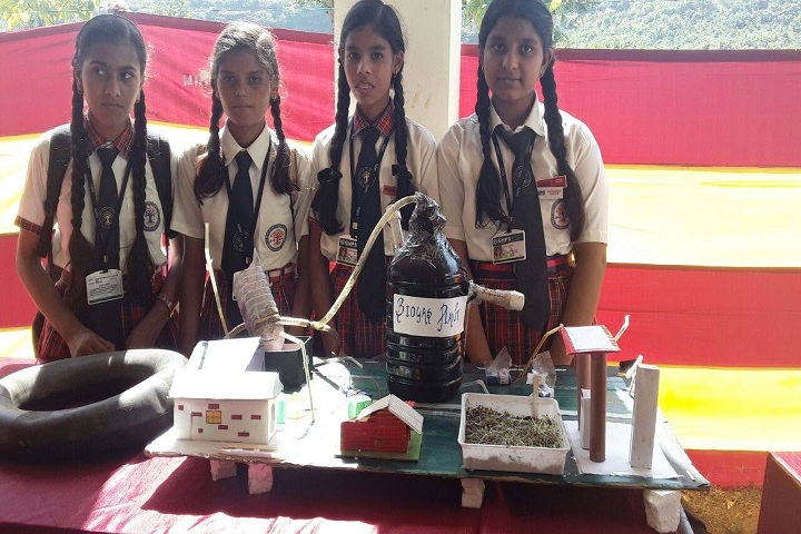 Gomti Nandan Public School-Science Fare
