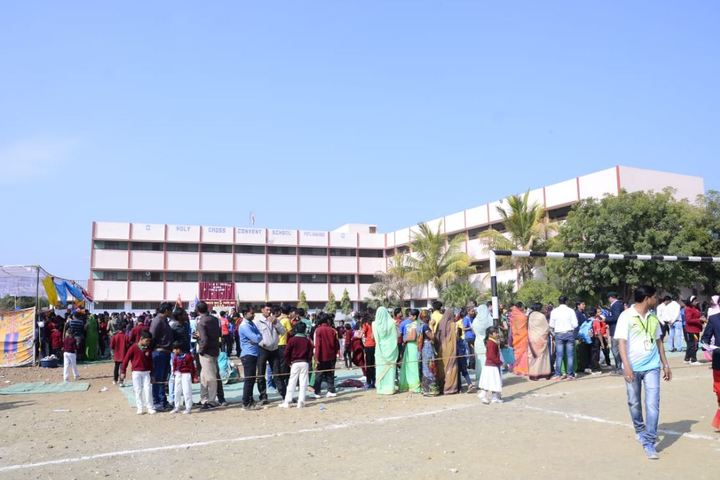 Holly Cross Convent School-School
