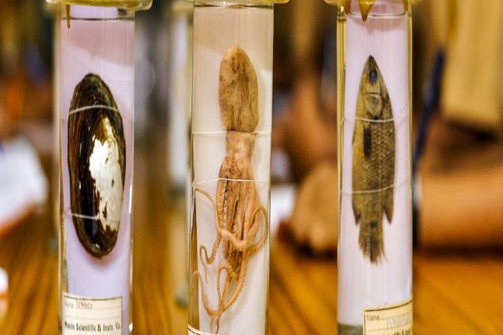 Holy Trinity School-Biology Lab