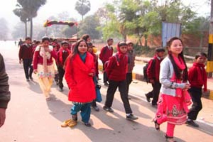 Allied International School-Campus