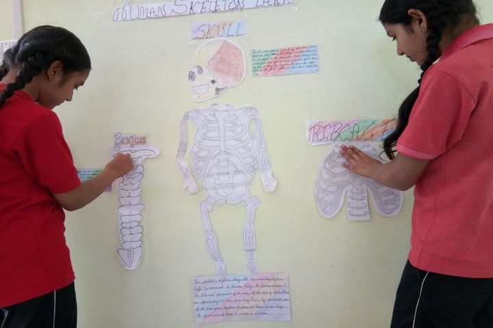 Innovative World School-Biology Lab