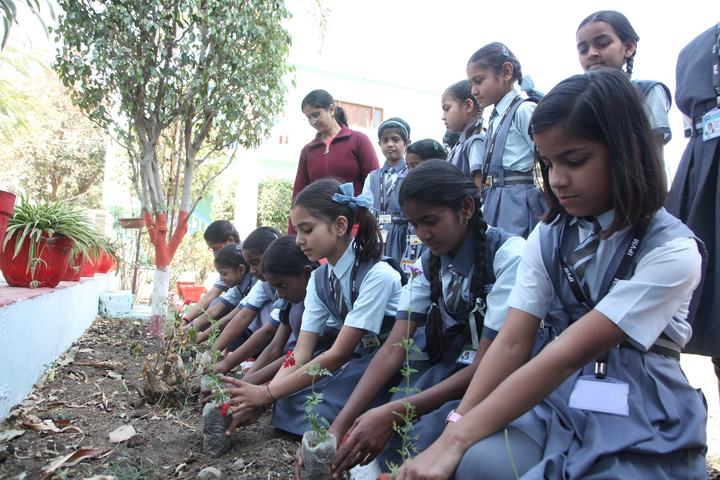 Ishwar Prem Vidya Mandir-Plantation