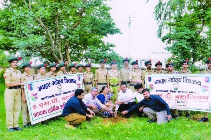 Jawahar Navodaya Vidyalaya-Plantation