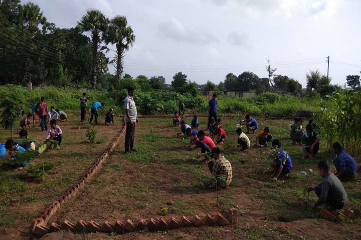Jawahar Navodaya Vidyalaya-Others activity