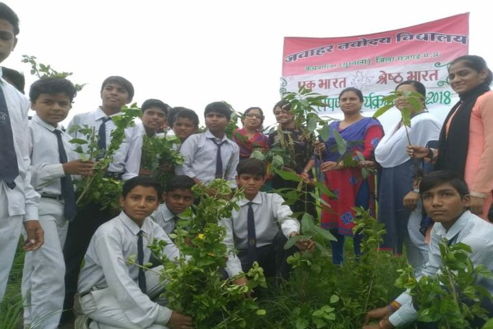 Jawahar Navodaya Vidyalaya-Plantation