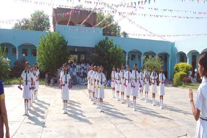 Jawahar Navodaya Vidyalaya-Activity