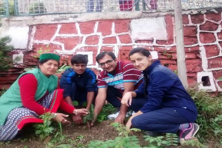 Jawahar Navodaya Vidyalaya-Tree Plantation