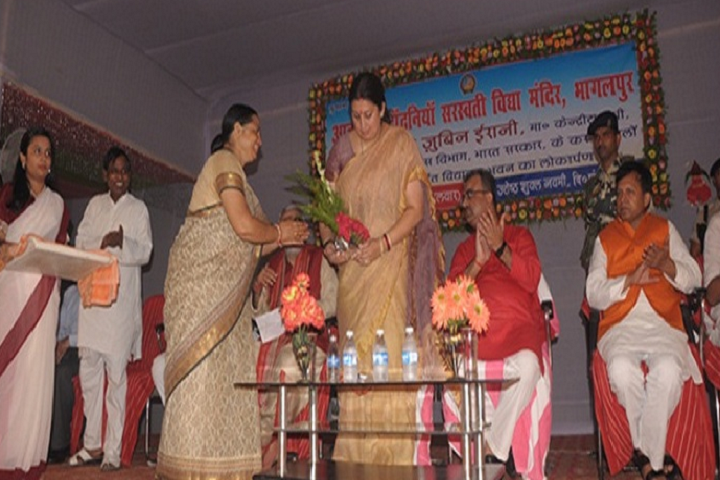 Anandram Dhandhania Saraswati Vidya Mandir-Annual Day Celebration