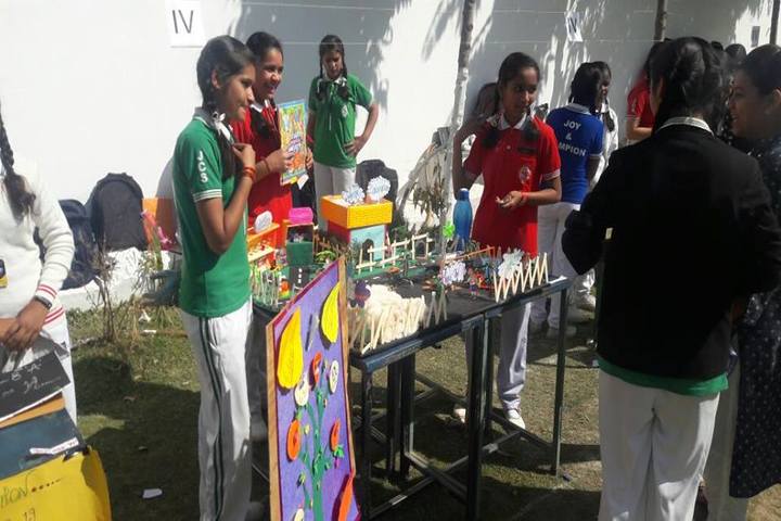 Joy & Champion Public School-Science Exhibition