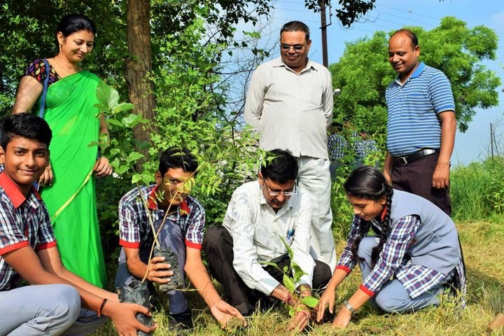 Kendriya Vidyalaya-plantation