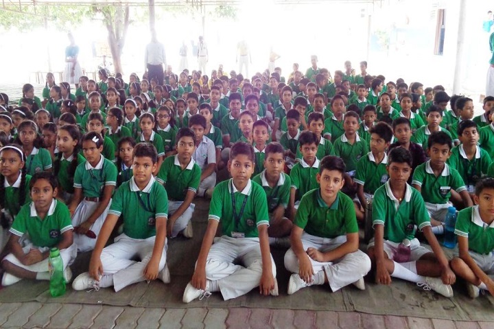 Army Public School-Green House