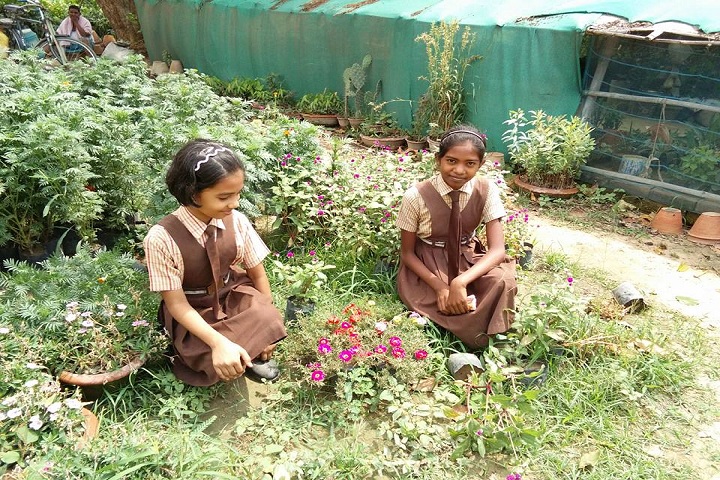 Arya Mission Global School-Others plantation